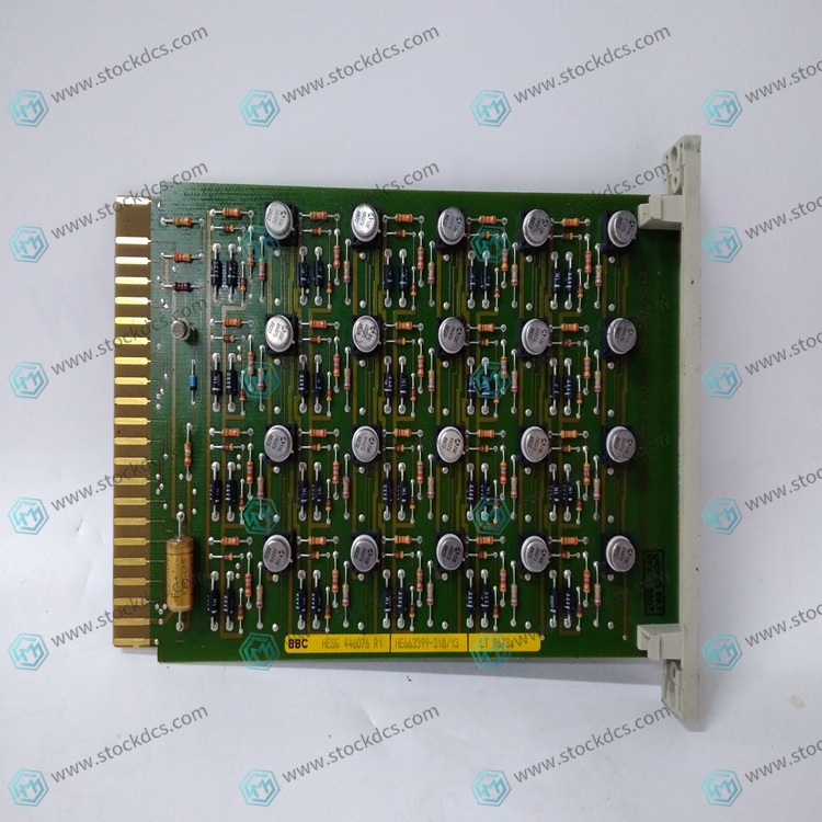 HESG446076R1 Analog Expansion Module